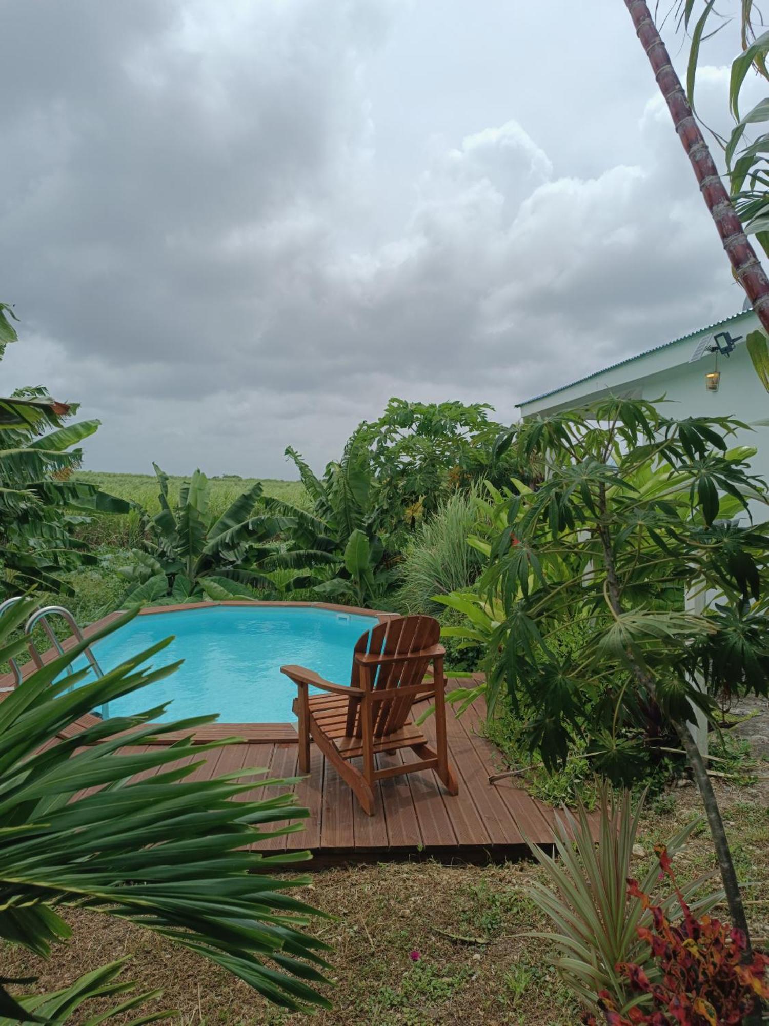 Kaz A Klemence Gite Creole Avec Piscine Et Table Dhotes A Anse Bertrand Exterior photo