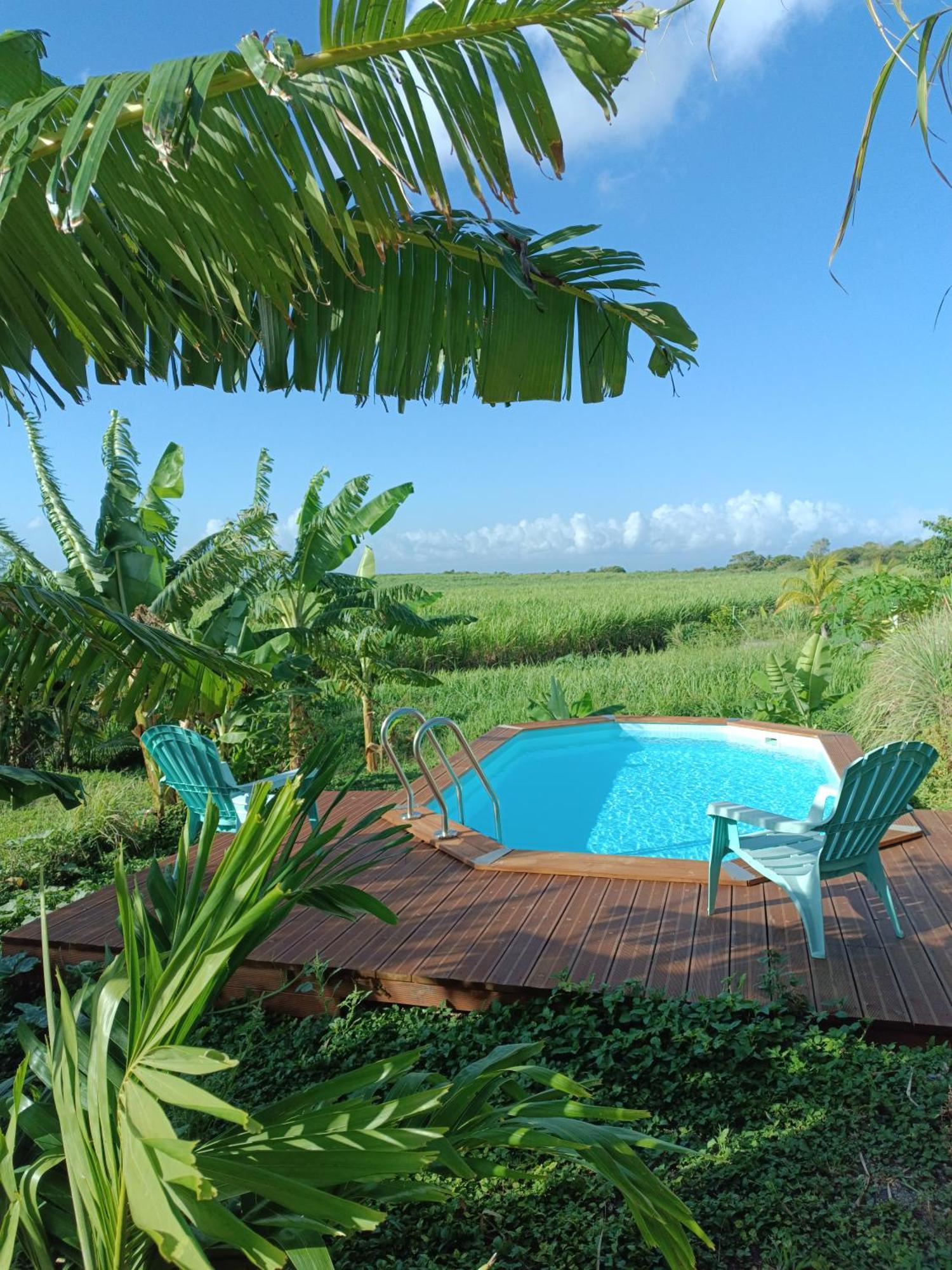 Kaz A Klemence Gite Creole Avec Piscine Et Table Dhotes A Anse Bertrand Exterior photo