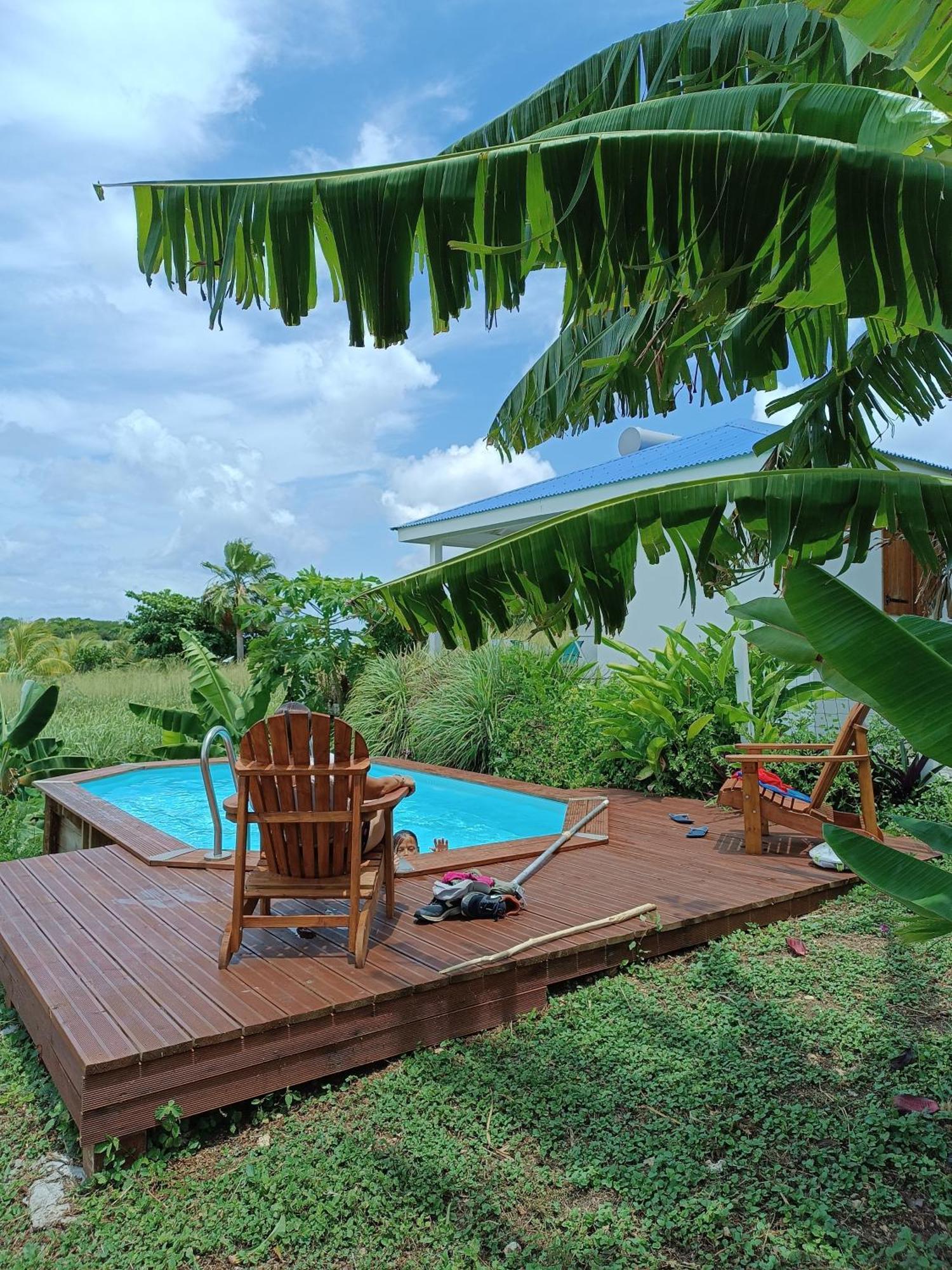 Kaz A Klemence Gite Creole Avec Piscine Et Table Dhotes A Anse Bertrand Exterior photo