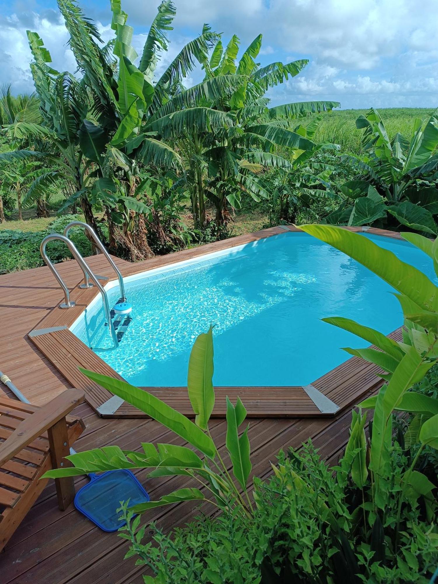 Kaz A Klemence Gite Creole Avec Piscine Et Table Dhotes A Anse Bertrand Exterior photo