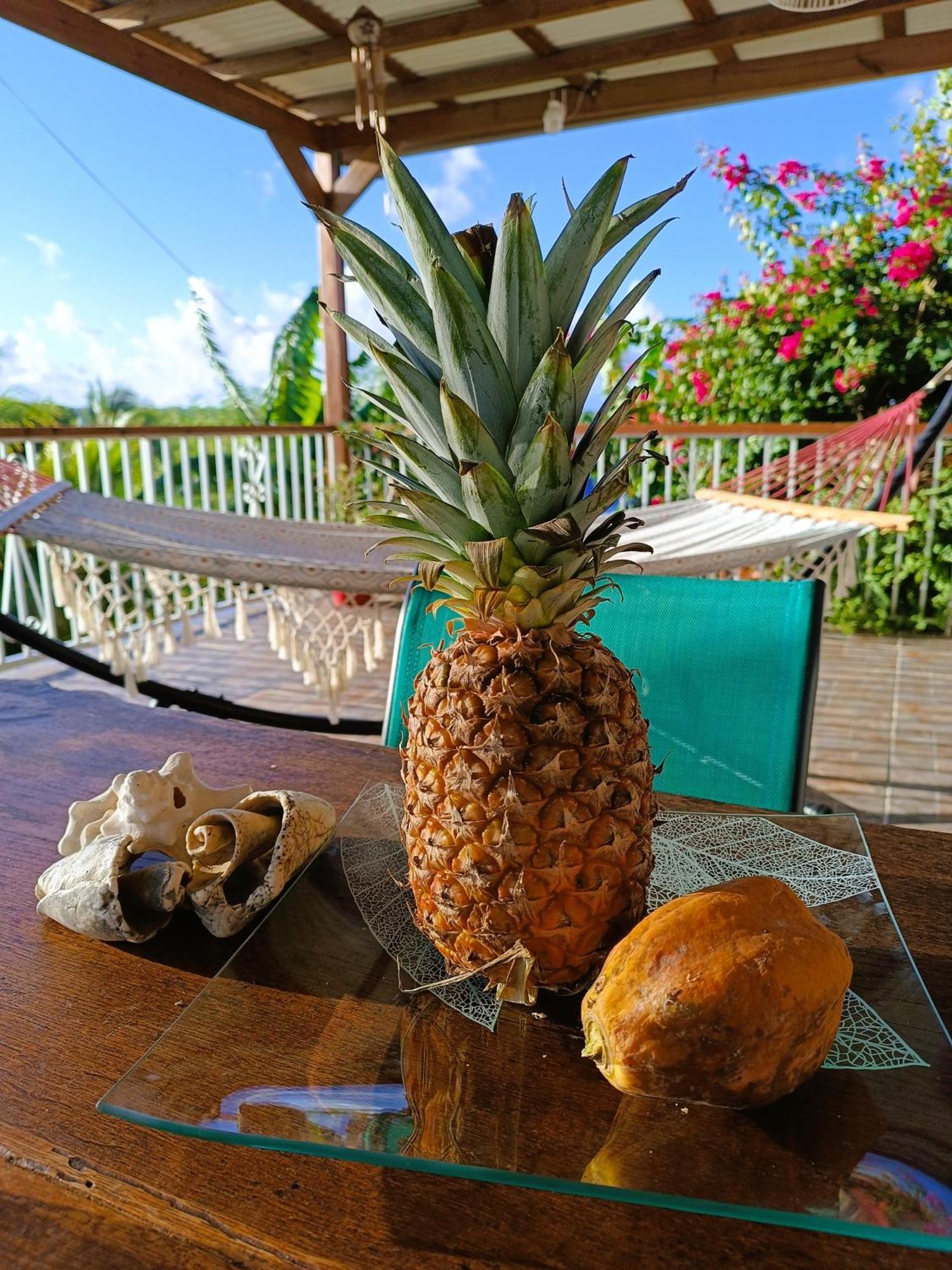 Kaz A Klemence Gite Creole Avec Piscine Et Table Dhotes A Anse Bertrand Exterior photo