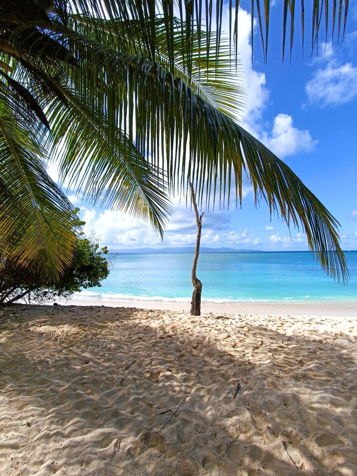 Kaz A Klemence Gite Creole Avec Piscine Et Table Dhotes A Anse Bertrand Exterior photo